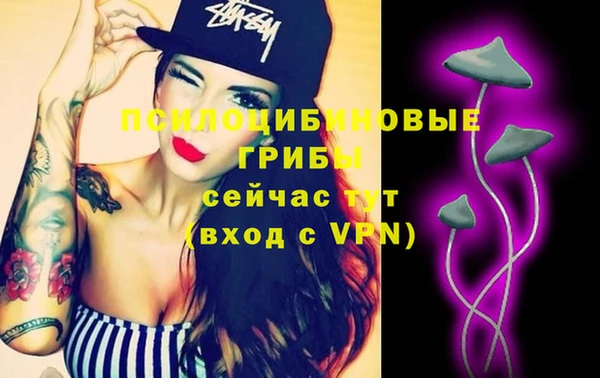 герыч Алексин