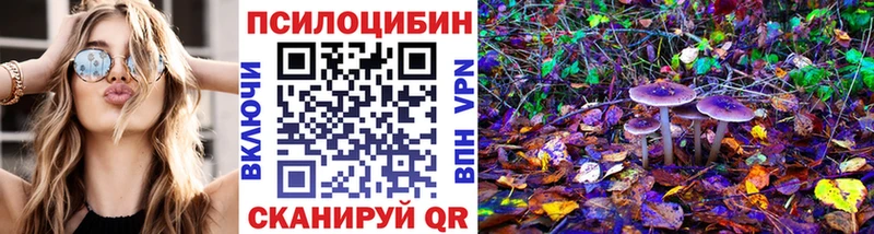 где купить наркоту  Карасук  Псилоцибиновые грибы Psilocybine cubensis 